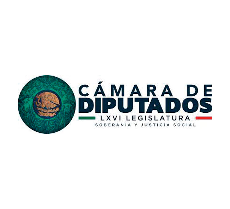 CAMARA-DE-DIPUTADOS